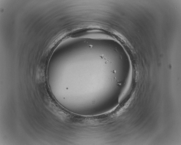 X0000063520977200601201429