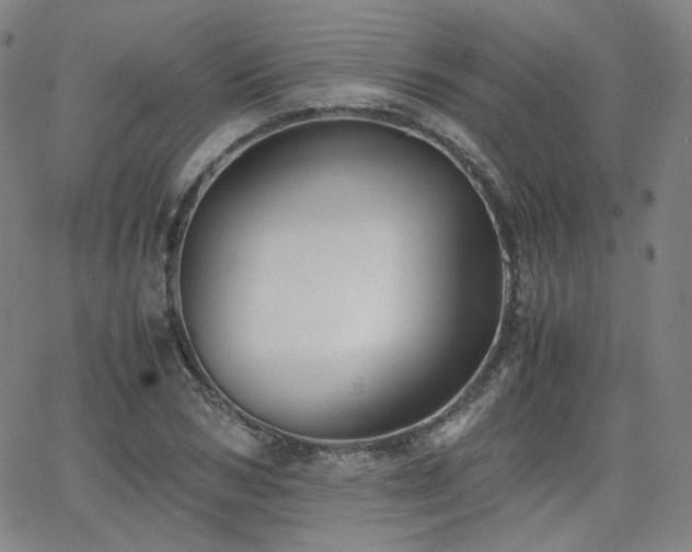 X0000063520978200601201429