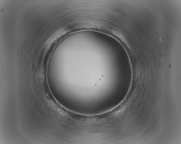 X0000063520979200601201428