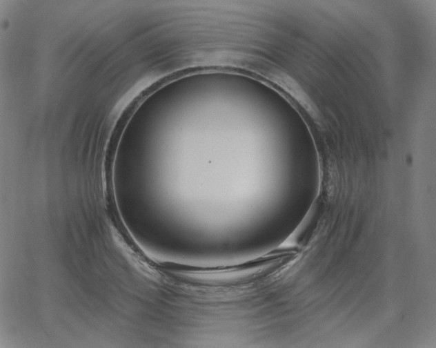 X0000063520980200601201428