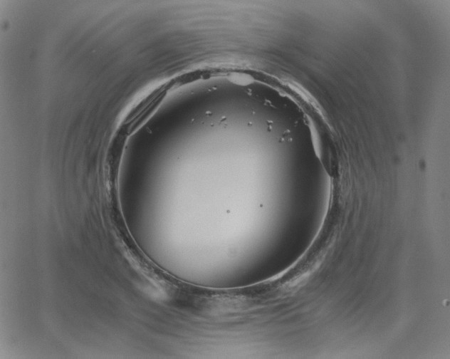 X0000063520981200601201428