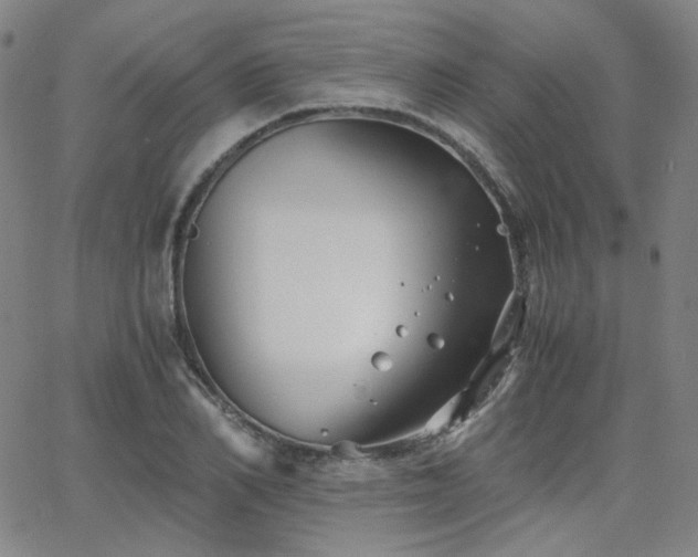 X0000063520982200601201428