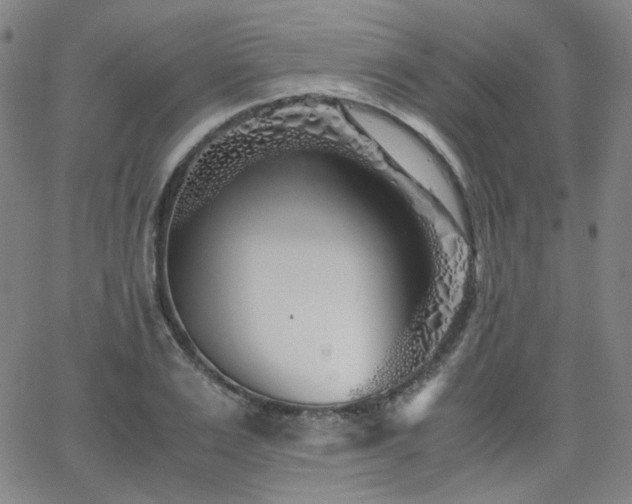 X0000063520983200601201428