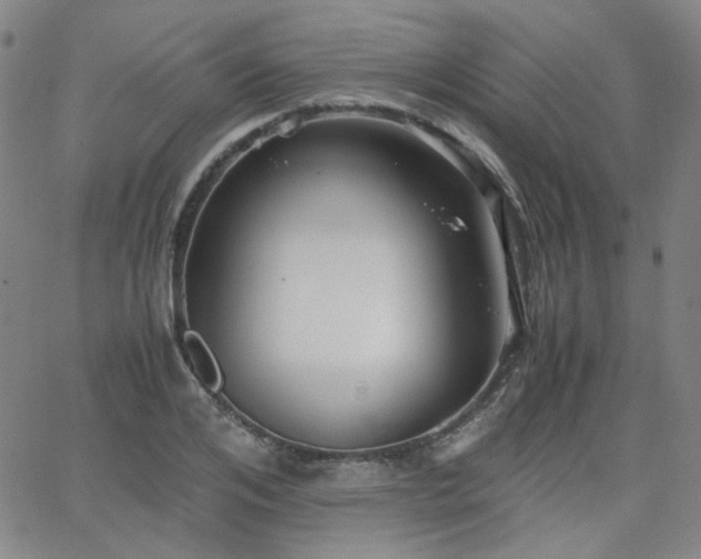 X0000063520984200601201428