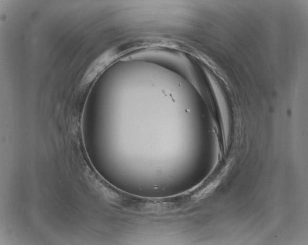 X0000063520985200601201428