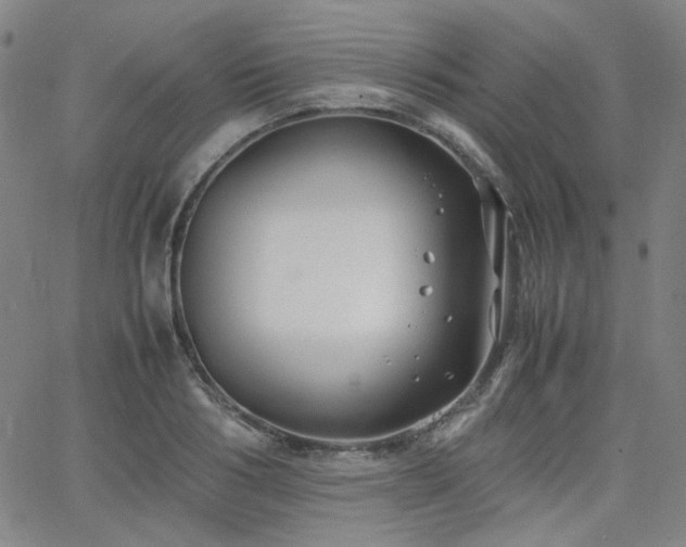 X0000063520986200601201428