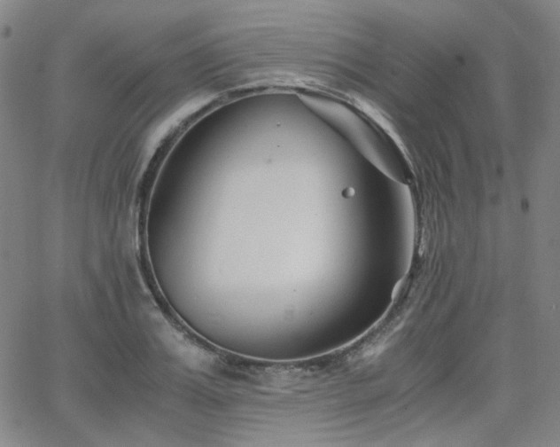 X0000063520987200601201428