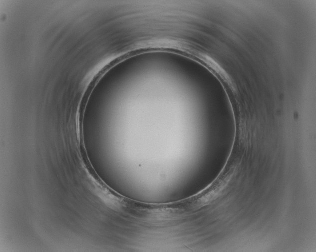 X0000063520988200601201428