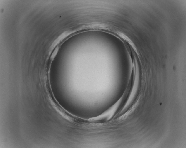 X0000063520989200601201428