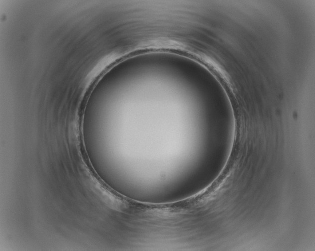 X0000063520990200601201428