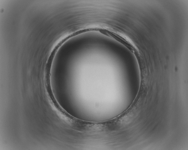 X0000063520991200601201428