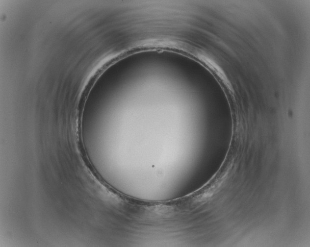 X0000063520992200601201428