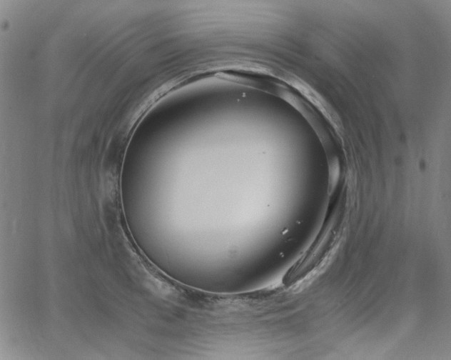 X0000063520993200601201428