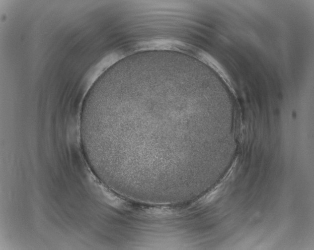 X0000063520994200601201428