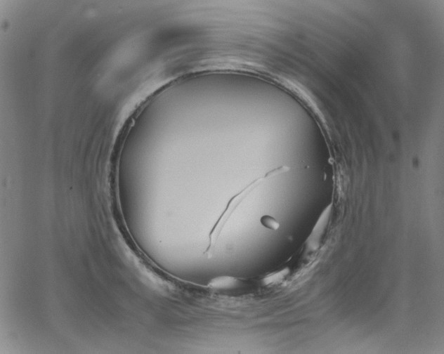 X0000063520995200601201428