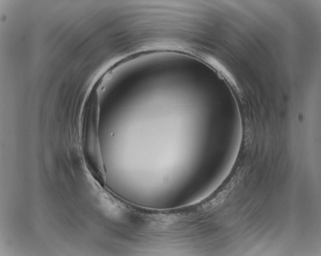 X0000063520996200601201428