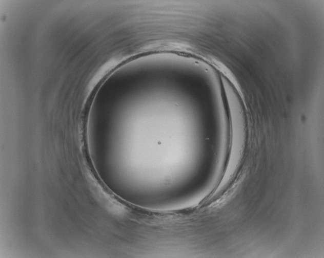 X0000063520997200601201428