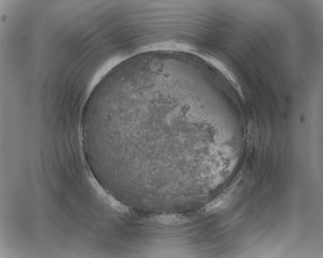 X0000063520998200601201428