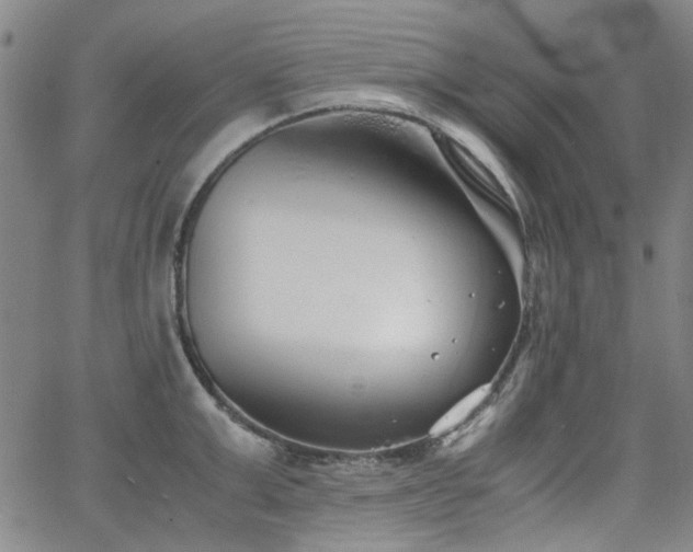 X0000063520999200601201428