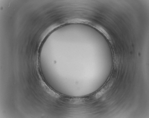 X0000063521000200601201428