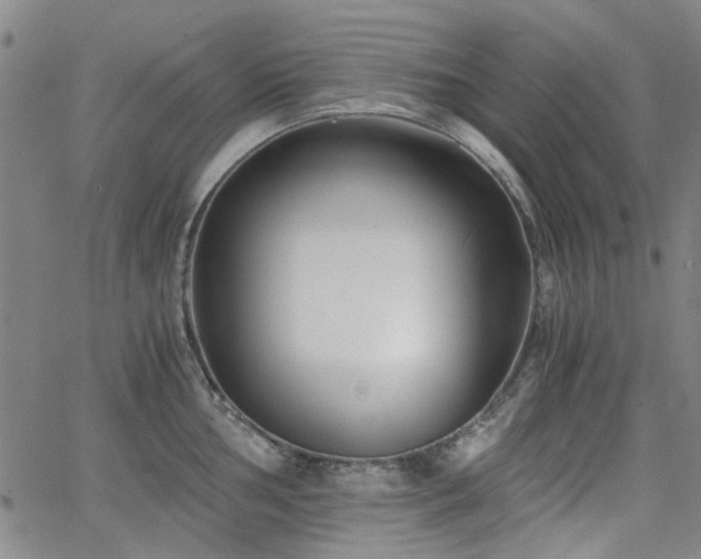 X0000063521002200601201428