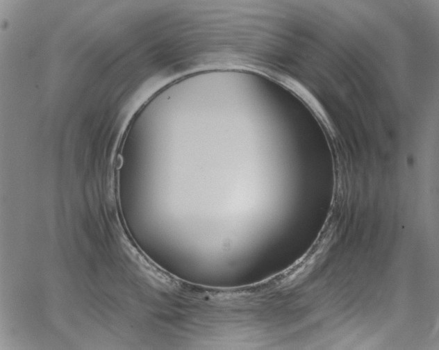 X0000063521004200601201428