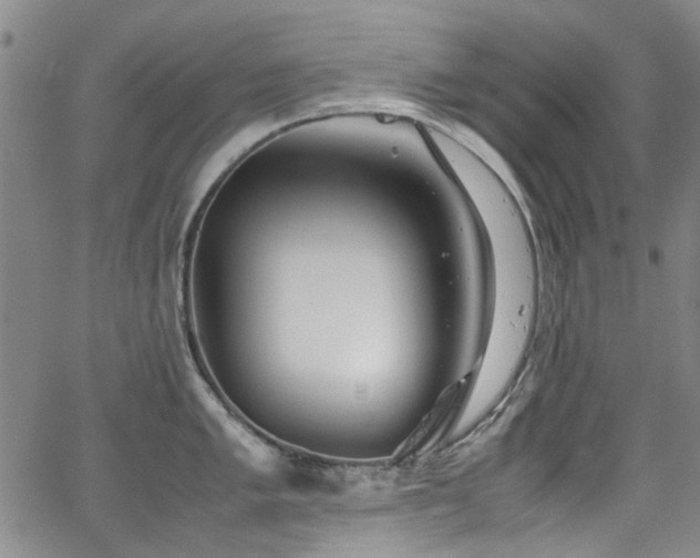 X0000063521005200601201428