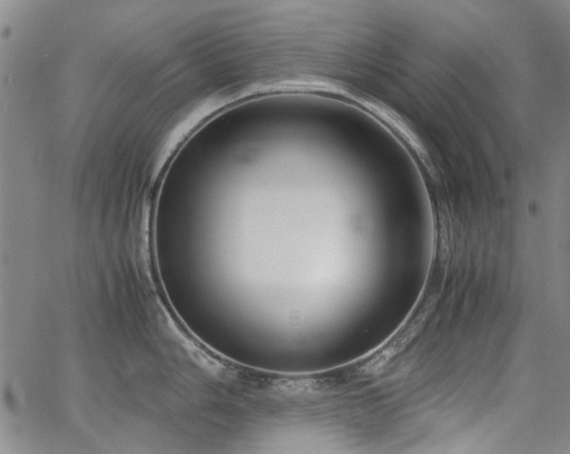 X0000063521006200601201428