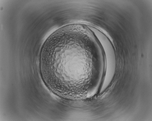 X0000063521007200601201428