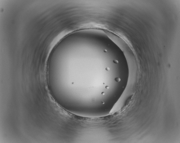 X0000063521008200601201428