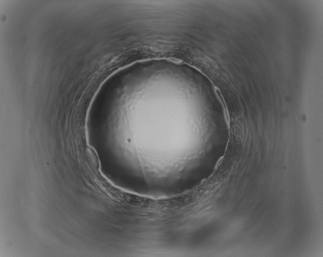 X0000063521009200601201427