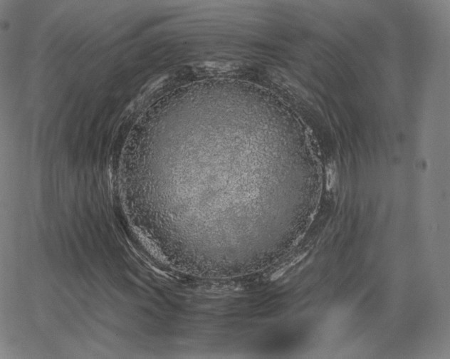 X0000063521011200601201427