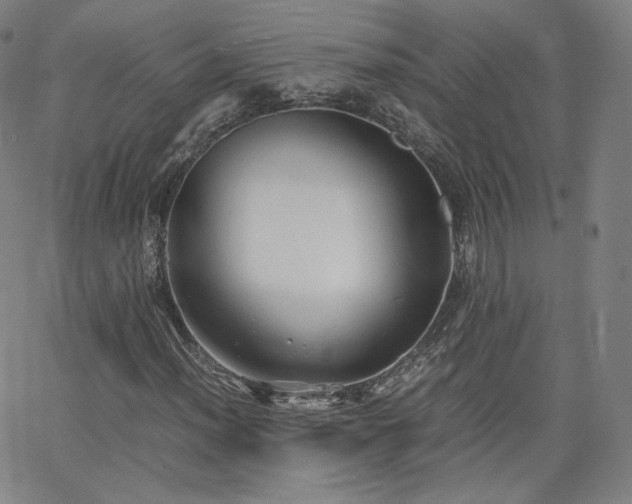 X0000063521012200601201427