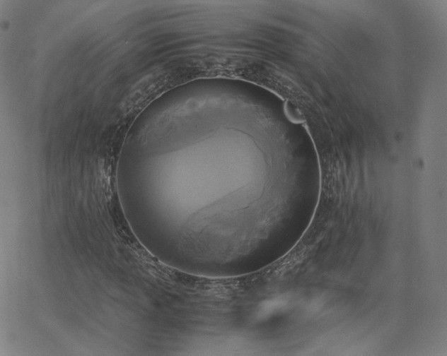 X0000063521013200601201427