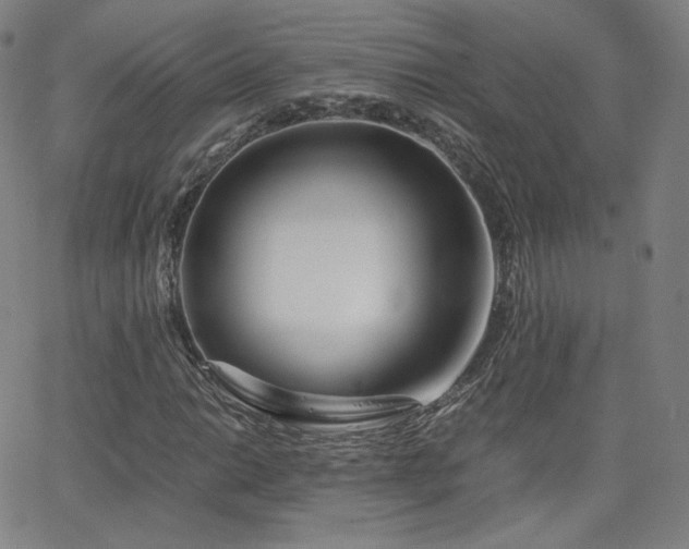 X0000063521014200601201427