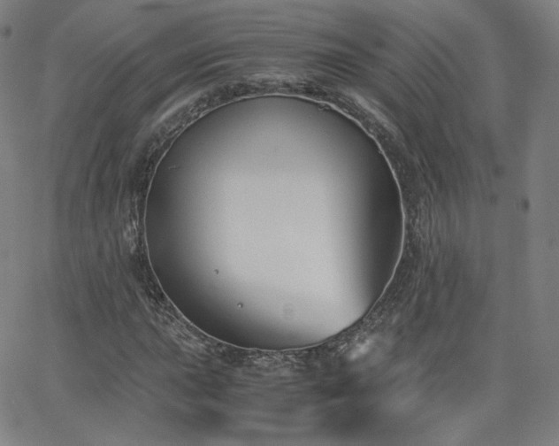 X0000063521015200601201427