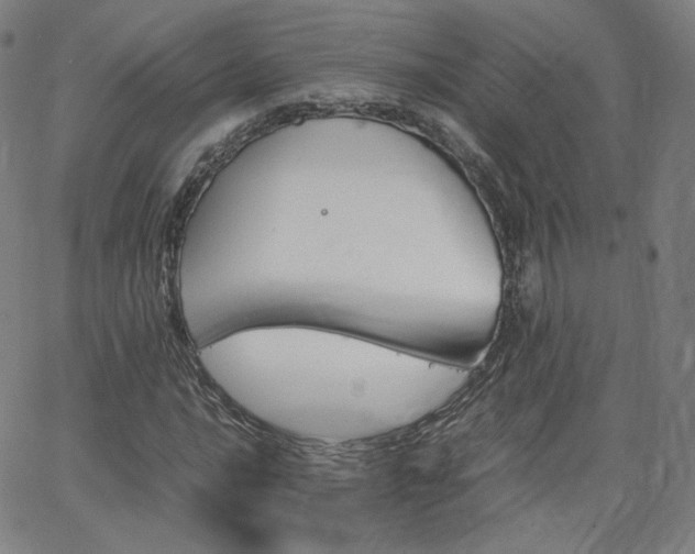 X0000063521016200601201427