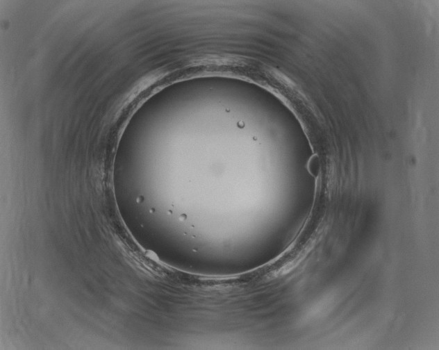 X0000063521017200601201427