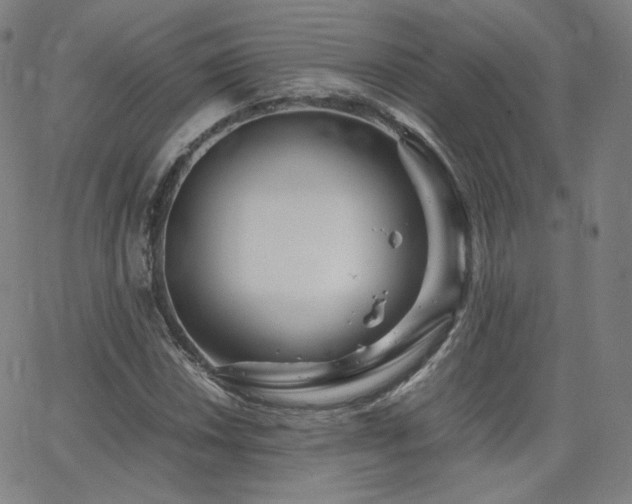 X0000063521018200601201427