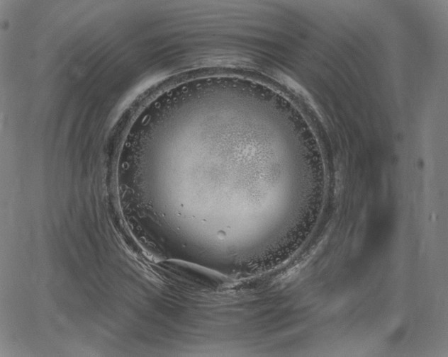 X0000063521019200601201427