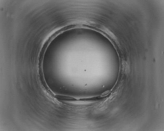 X0000063521020200601201427