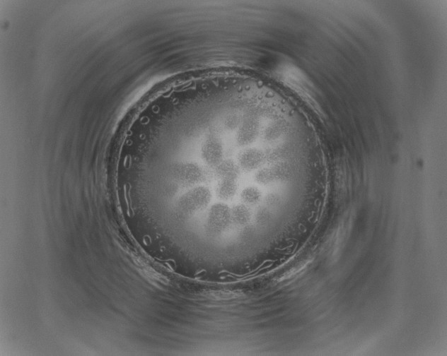 X0000063521023200601201427