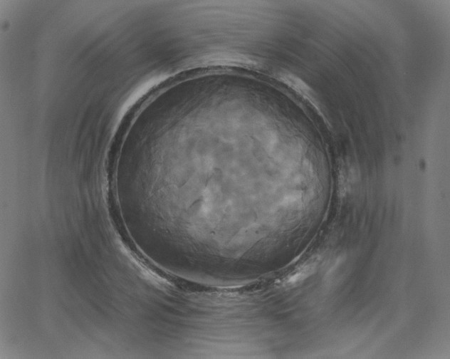 X0000063521024200601201427