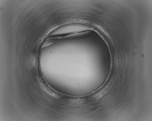 X0000063521025200601201427