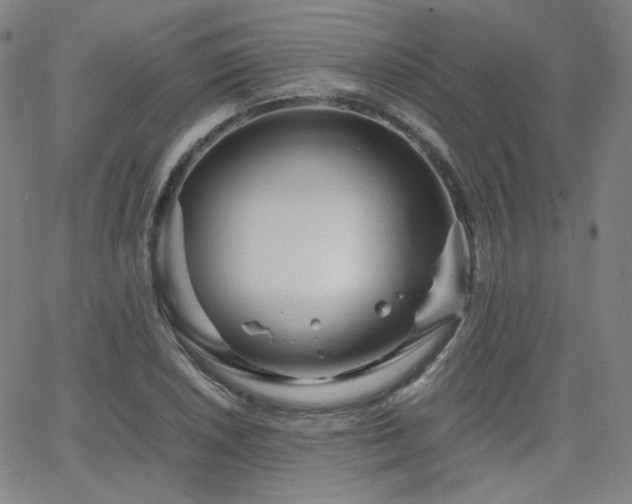 X0000063521026200601201428