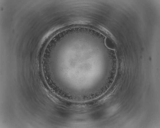 X0000063521027200601201428