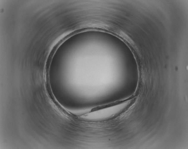 X0000063521028200601201428