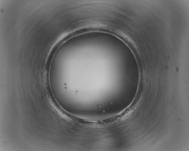 X0000063521029200601201428