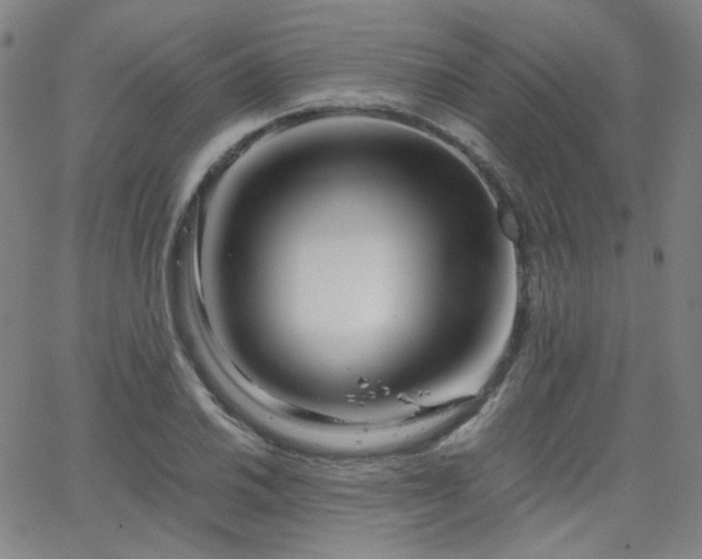 X0000063521030200601201428