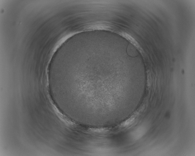 X0000063521031200601201428